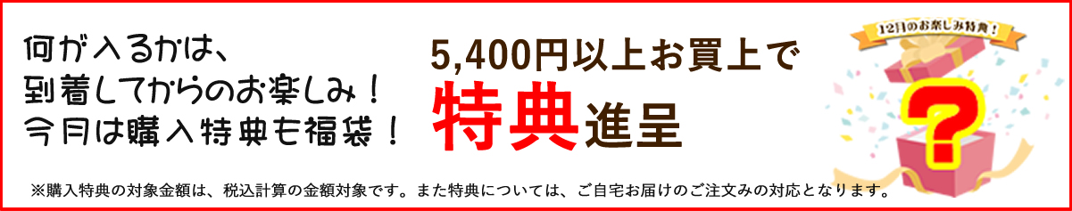 12月プレゼントキャンペーン