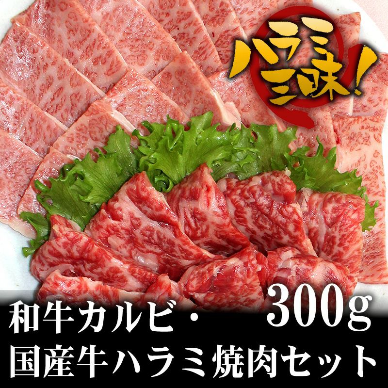 焼肉三昧☆最大半額ポイント5倍】【和牛・国産牛】 牛カルビ・ハラミ焼肉セット300g（2人前）(和牛カルビ150g・国産牛ハラミ味付150g） | 但馬 牛・三田和牛の専門店・ミート・マイチク